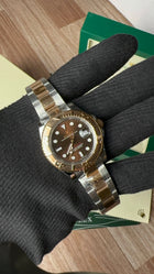 YachtMaster Brown